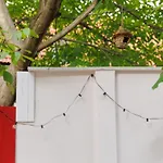 Roua Ludica Appartamento Braşov