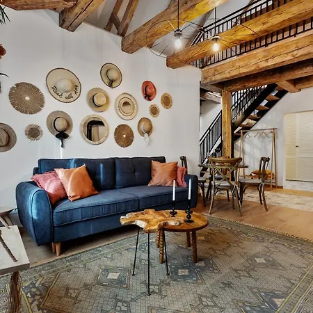 Roua Ludica Braszów