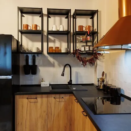 Roua Ludica * Braszów