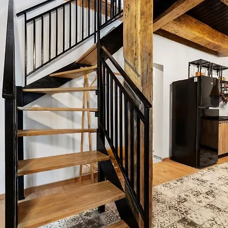 Apartmán Roua Ludica Brašov