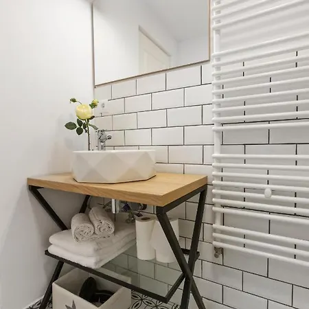 Roua Ludica Apartment Brasov