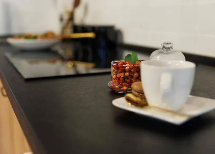 Roua Ludica Apartment *