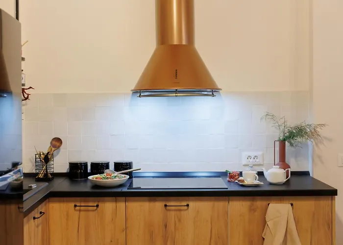 Roua Ludica アパート ブラショフ