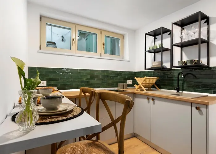 Apartment Roua Ludica Brasov