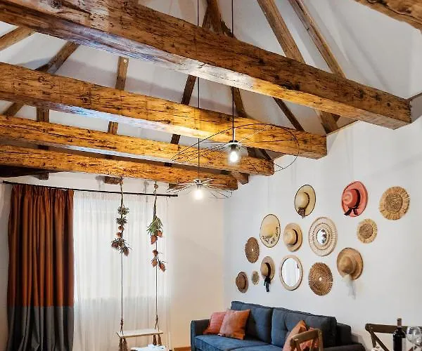 Roua Ludica * Brasov