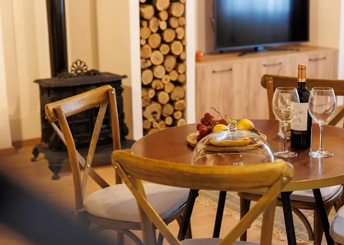 公寓 Roua Ludica 布拉索夫