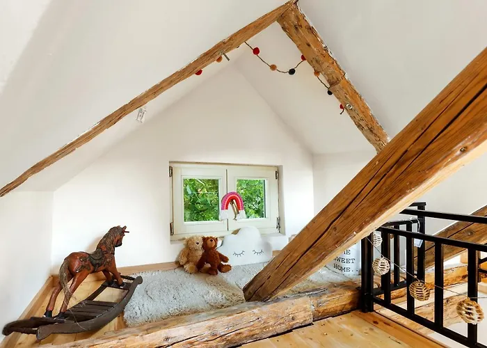 Apartment Roua Ludica Brasov