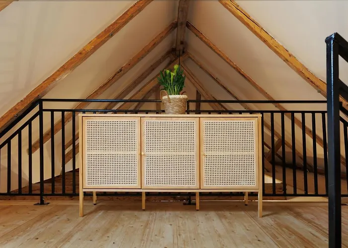 公寓 Roua Ludica 布拉索夫