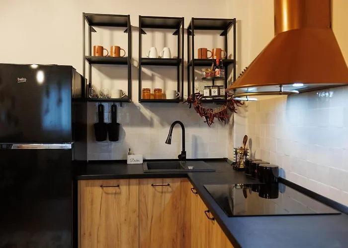 Roua Ludica * Brasov