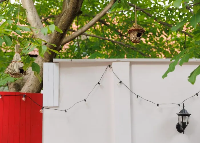 Roua Ludica 公寓 布拉索夫