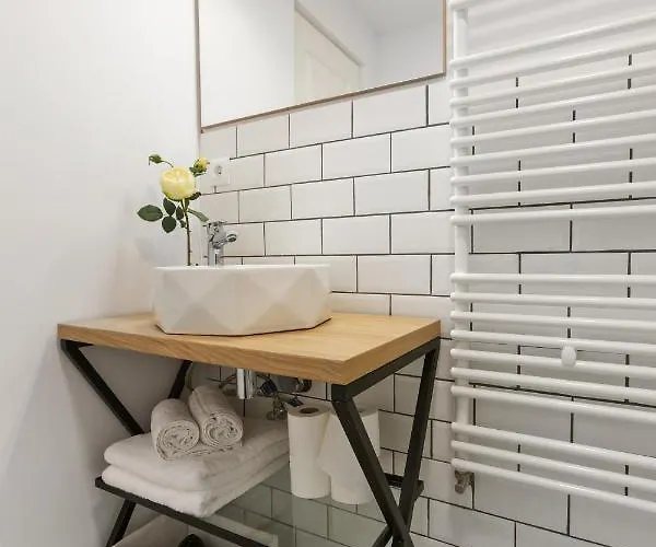 Roua Ludica Apartment Brasov