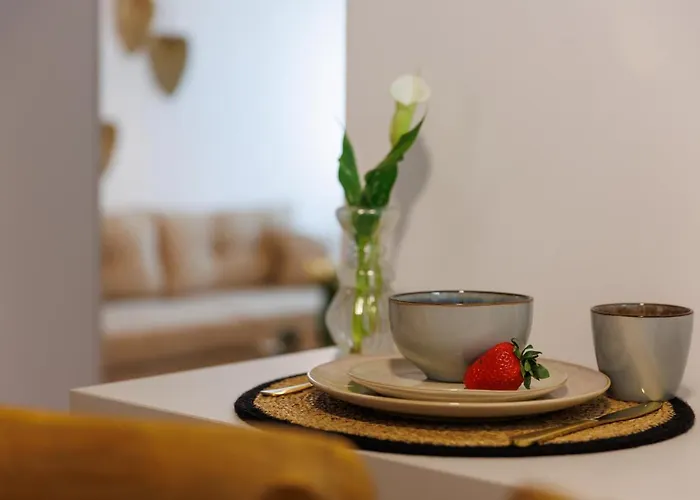 Roua Ludica * Braşov